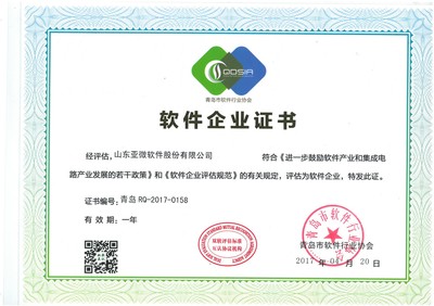 山東亞微軟件股份