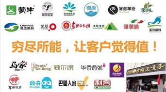 戰(zhàn)略顧問與品牌策略 企業(yè)管理咨詢的智慧引擎