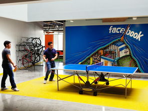 裝點(diǎn)Facebook辦公區(qū) 以文化藝術(shù)展現(xiàn)企業(yè)精神與人文交流
